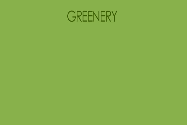 Kolor greenery