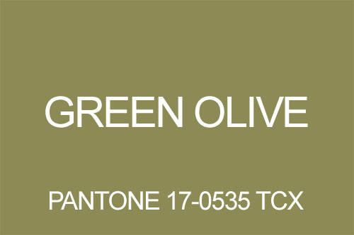 Kolor oliwkowy green