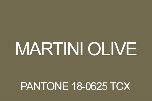 Kolor oliwkowy martini