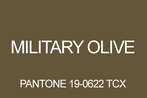 Kolor oliwkowy military