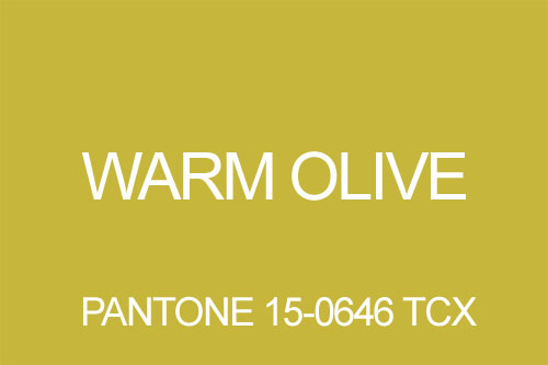 Kolor oliwkowy warm